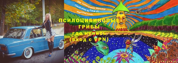 соль ск Белокуриха