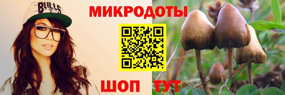 Бутурлиновка  Галлюциногенные грибы Psilocybe  Вход с VPN 